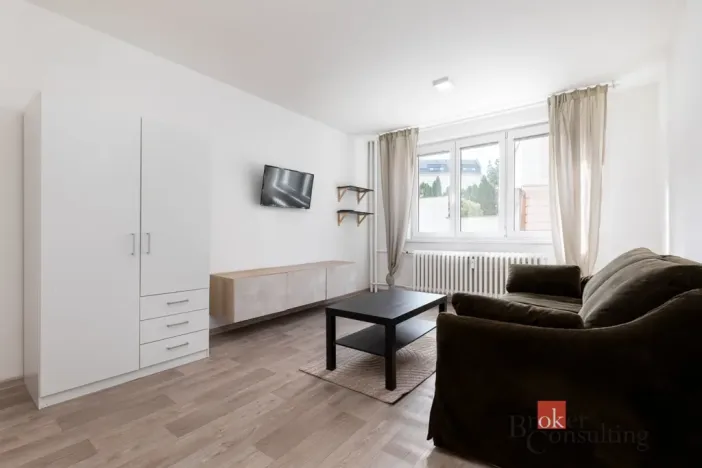 Pronájem bytu 1+1, Opava - Město, Solná, 33 m2