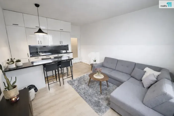 Pronájem bytu 2+kk, Praha - Holešovice, V závětří, 49 m2