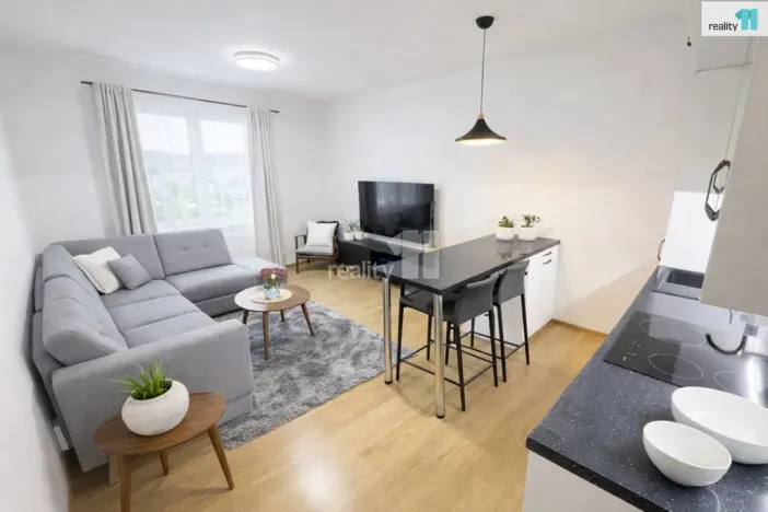 Pronájem bytu 2+kk, Praha - Holešovice, V závětří, 49 m2