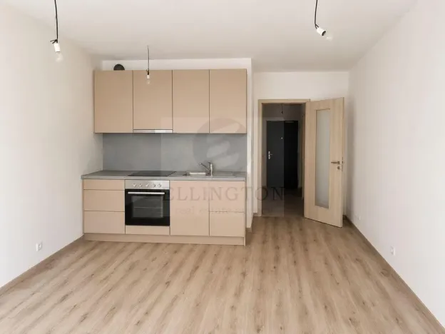 Prodej bytu 1+kk, Praha - Chodov, Měchnovská, 33 m2
