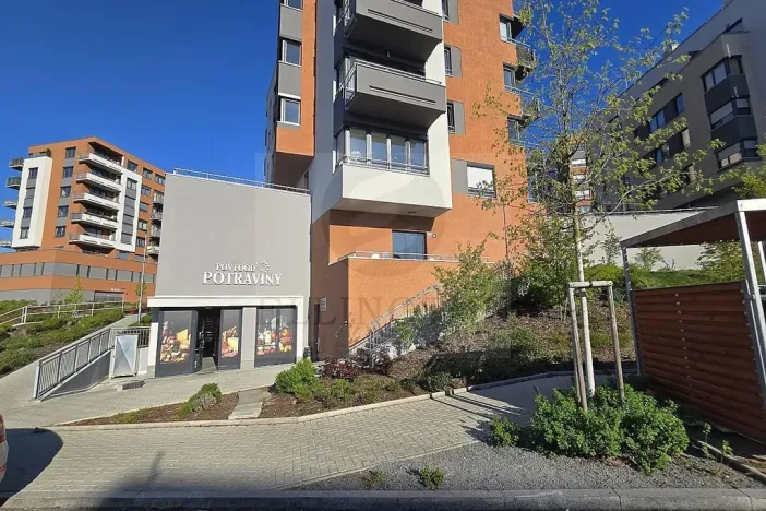 Prodej bytu 1+kk, Praha - Chodov, Měchnovská, 33 m2