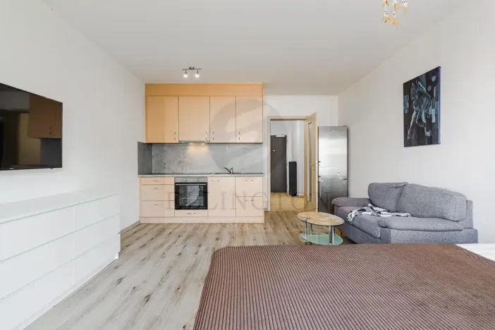 Prodej bytu 1+kk, Praha - Chodov, Měchnovská, 36 m2