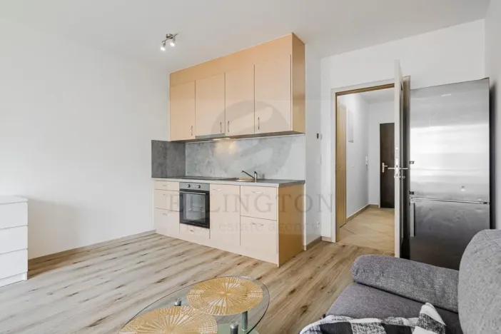 Prodej bytu 1+kk, Praha - Chodov, Měchnovská, 36 m2