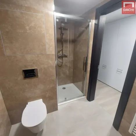 Pronájem bytu 1+kk, Olomouc, Třída Jiřího Pelikána, 31 m2