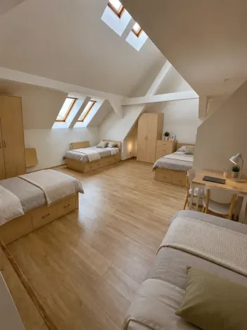 Pronájem atypického bytu, Praha - Nové Město, Trojanova, 254 m2