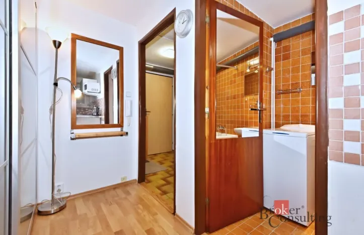 Pronájem bytu 1+kk, 25 m2