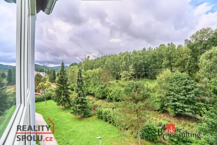 Pronájem bytu 3+1, Kraslice, Družstevní, 67 m2