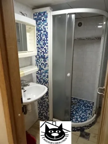 Pronájem bytu 2+1, Příbram - Příbram VII, Obránců míru, 48 m2