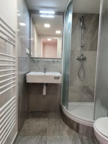Pronájem bytu 1+kk, Praha, Svobodova, 33 m2