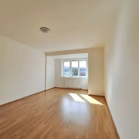 Pronájem bytu 1+1, Praha - Smíchov, Podbělohorská, 45 m2