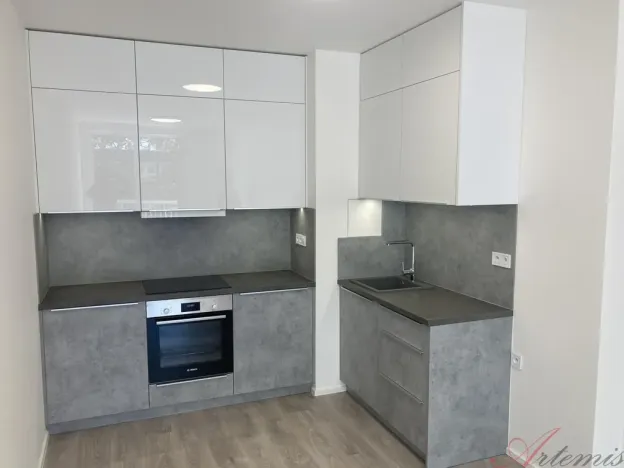 Pronájem bytu 2+kk, Ostrava - Hrabůvka, Hasičská, 41 m2