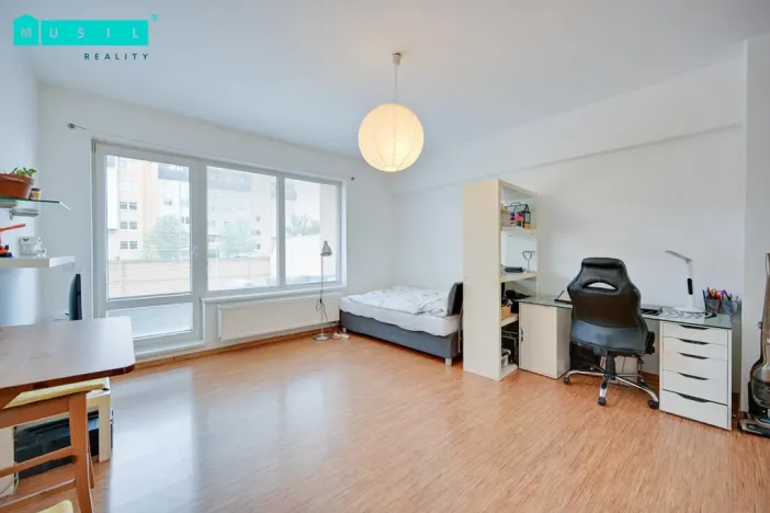 Pronájem bytu 1+kk, Olomouc - Nová Ulice, Na Tabulovém vrchu, 30 m2