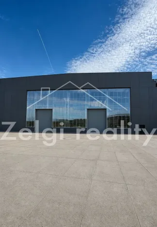 Prodej výrobních prostor, Veselí nad Moravou, 5700 m2