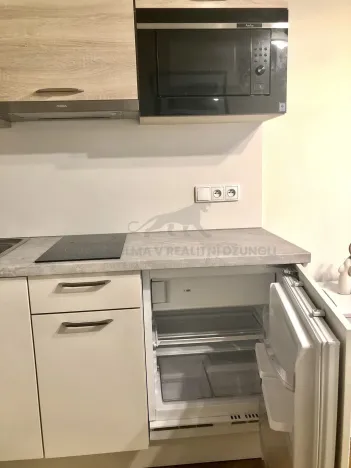 Pronájem bytu 1+kk, Praha - Josefov, Elišky Krásnohorské, 22 m2