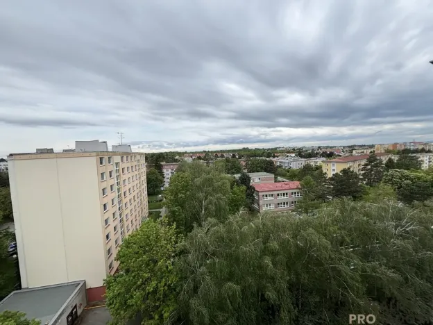Prodej bytu 1+kk, Olomouc, Karafiátová, 22 m2