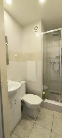 Pronájem bytu 1+1, Louny, Petra Obrovce, 35 m2