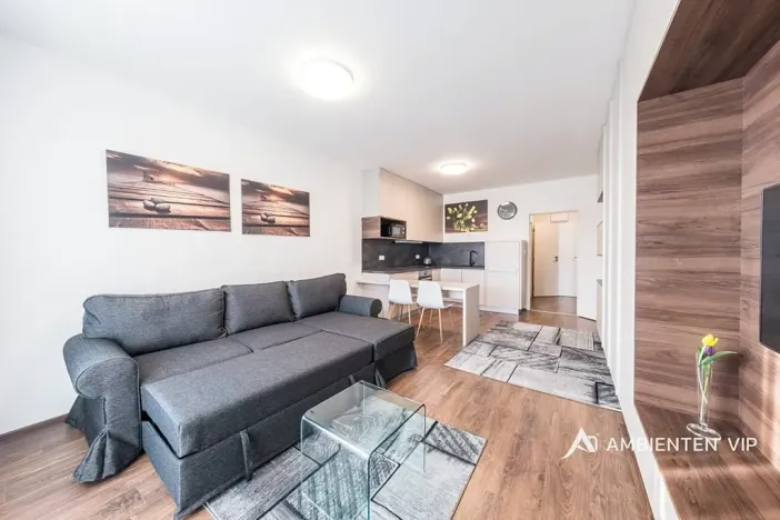 Pronájem bytu 1+kk, Brno, Reissigova, 36 m2