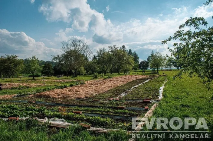 Prodej pozemku pro bydlení, Rataje nad Sázavou, 9302 m2