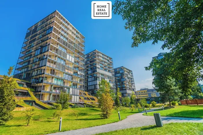 Pronájem bytu 2+kk, Praha - Žižkov, Pitterova, 45 m2