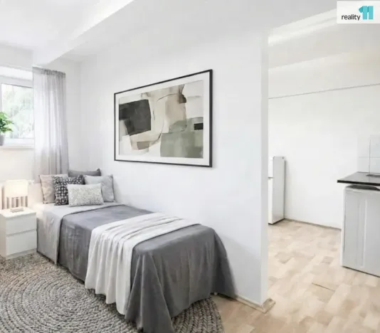 Prodej bytu 1+1, Praha - Vršovice, Gruzínská, 24 m2