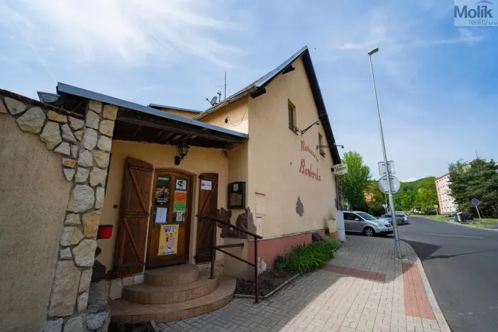 Prodej restaurace, Litvínov - Horní Litvínov, Studentská, 388 m2