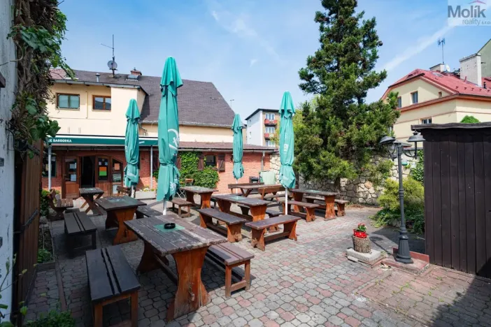 Prodej rodinného domu, Litvínov - Horní Litvínov, Studentská, 388 m2