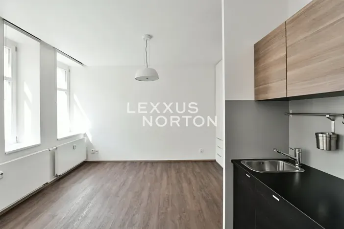 Pronájem bytu 1+kk, Praha - Vinohrady, Lucemburská, 30 m2
