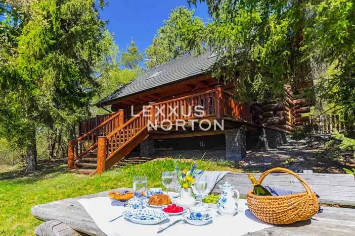 Prodej chaty, Nenačovice, 118 m2