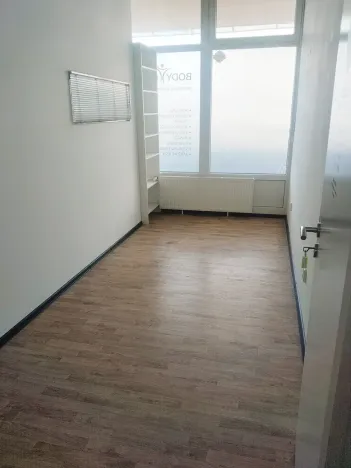 Pronájem obchodního prostoru, Brno, Palackého třída, 311 m2