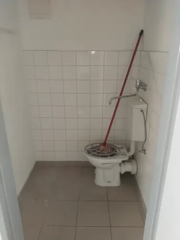 Pronájem obchodního prostoru, Brno, Palackého třída, 311 m2