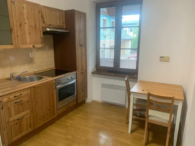 Pronájem bytu 1+1, Mirošov, 45 m2