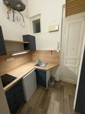 Pronájem bytu 1+kk, Praha - Nové Město, Rumunská, 25 m2