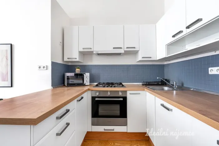 Pronájem bytu 1+kk, Praha - Malá Strana, Petřínská, 37 m2