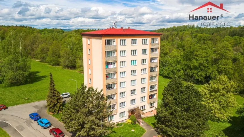 Prodej bytu 2+1, Cheb, Družstevní, 51 m2