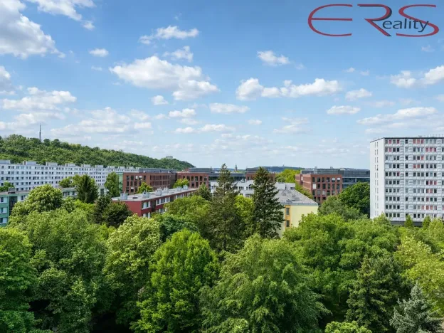Prodej bytu 2+kk, Praha - Karlín, Nekvasilova, 40 m2