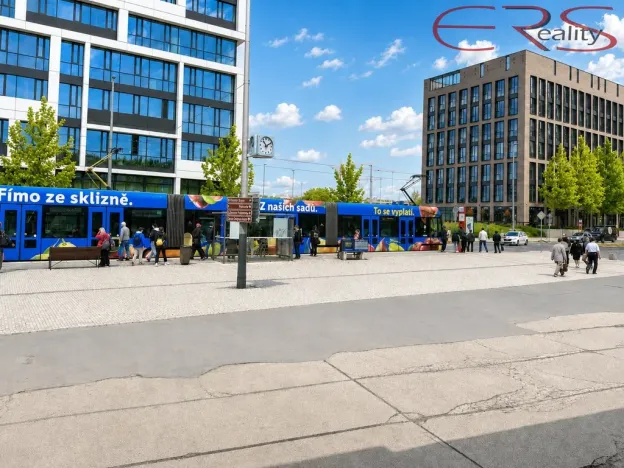 Prodej bytu 2+kk, Praha - Karlín, Nekvasilova, 40 m2