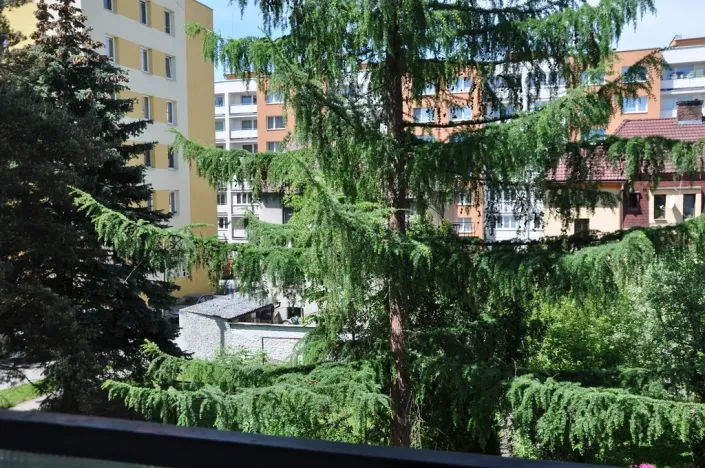 Pronájem bytu 1+1, České Budějovice, Lipenská, 42 m2