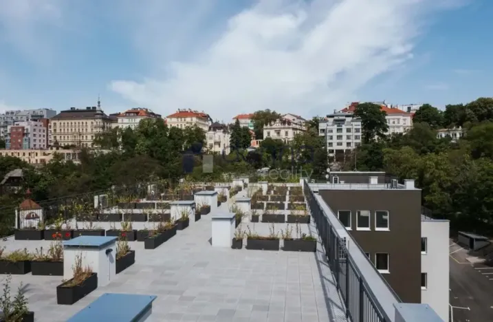 Pronájem bytu 1+kk, Praha, Perucká, 30 m2
