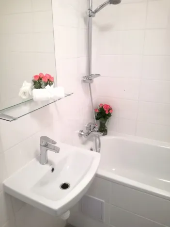 Prodej bytu 2+kk, Ostrava - Moravská Ostrava, Zelená, 45 m2
