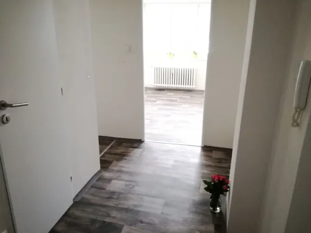 Prodej bytu 2+kk, Ostrava - Moravská Ostrava, Zelená, 45 m2