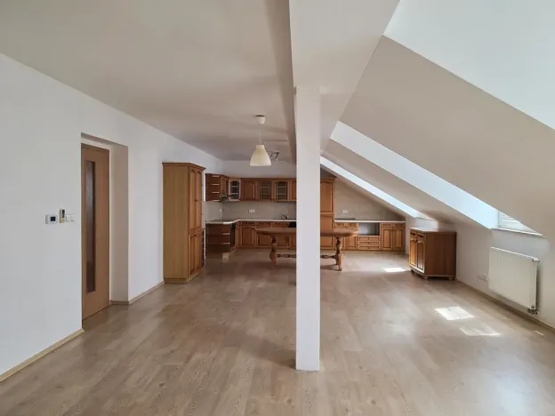 Pronájem bytu 3+kk, Plzeň, Božkovská, 102 m2