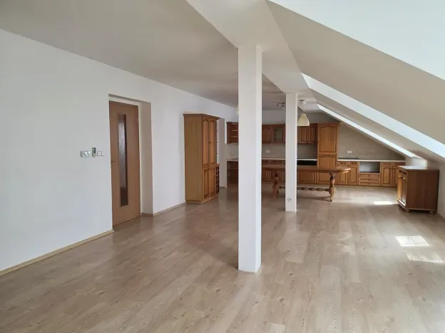 Pronájem bytu 3+kk, Plzeň, Božkovská, 102 m2