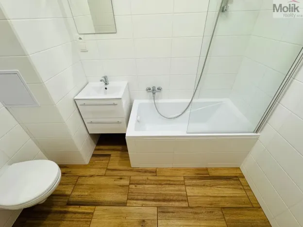 Pronájem bytu 2+1, Most, Maxe Švabinského, 53 m2