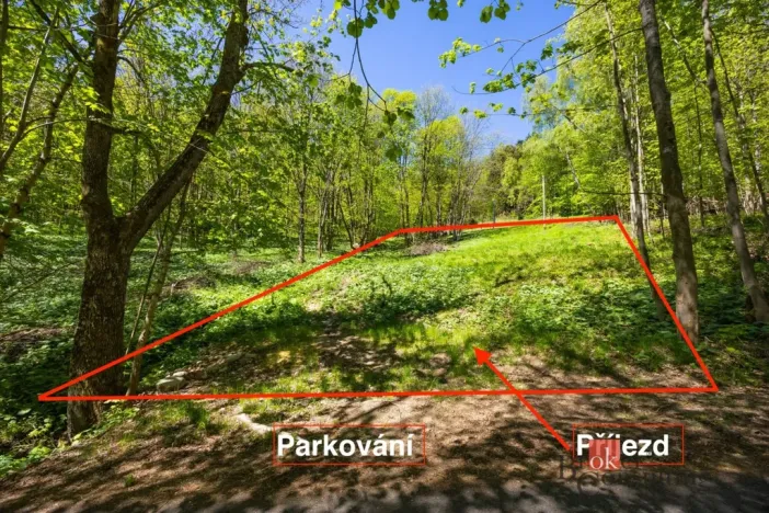 Prodej pozemku pro bydlení, Dolní Morava - Horní Morava, 1045 m2