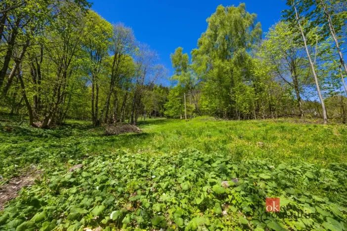 Prodej pozemku pro bydlení, Dolní Morava - Horní Morava, 1045 m2