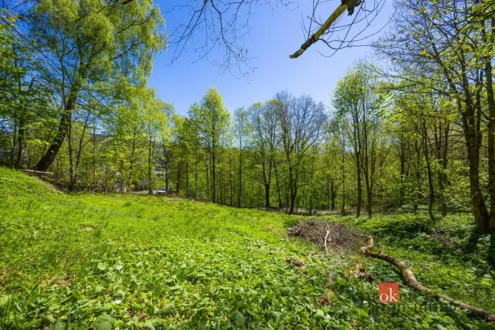 Prodej pozemku pro bydlení, Dolní Morava - Horní Morava, 1045 m2