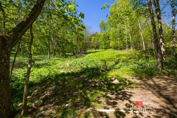 Prodej pozemku pro bydlení, Dolní Morava - Horní Morava, 1045 m2