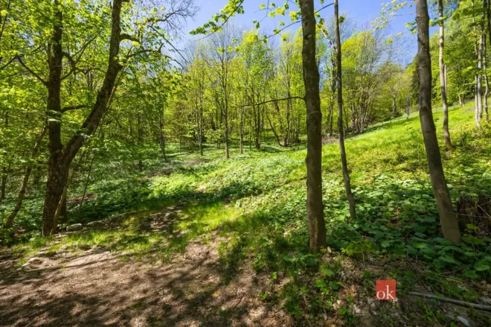 Prodej pozemku pro bydlení, Dolní Morava - Horní Morava, 1045 m2