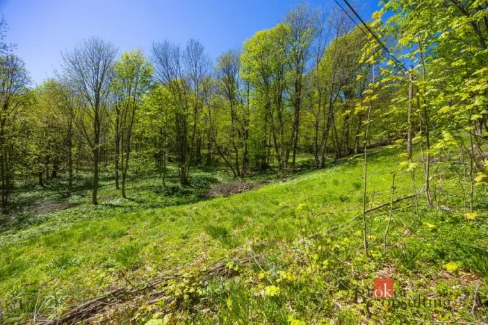 Prodej pozemku pro bydlení, Dolní Morava - Horní Morava, 1045 m2