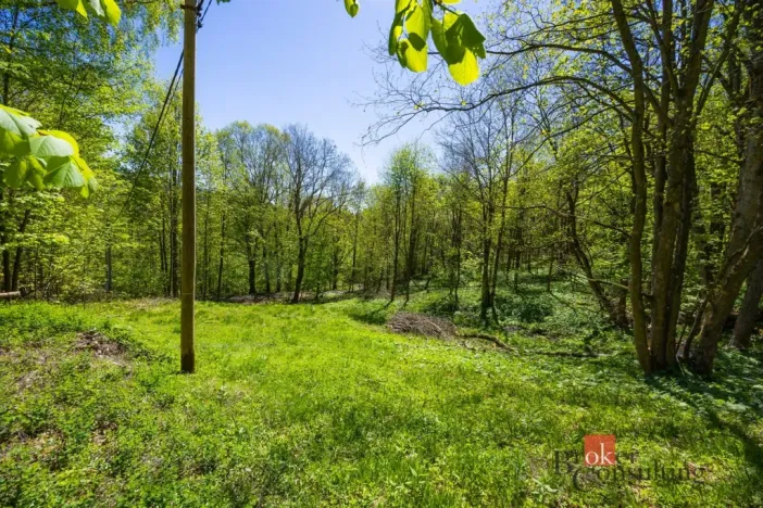 Prodej pozemku pro bydlení, Dolní Morava - Horní Morava, 1045 m2